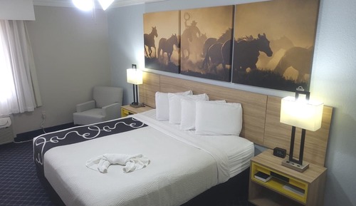 Room, 1 King Bed, Non Smoking