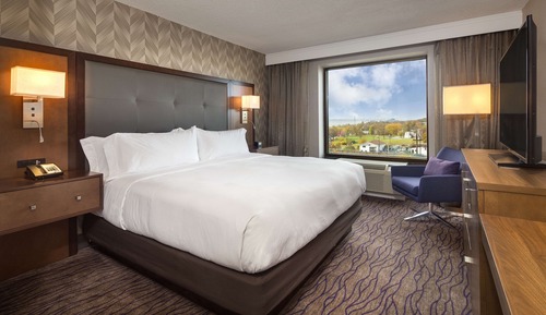 Room, 1 King Bed, Accessible, Non Smoking (Roll-in Shower)