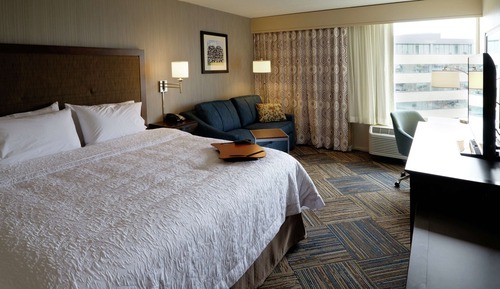 Room, 1 King Bed with Sofa bed, Accessible