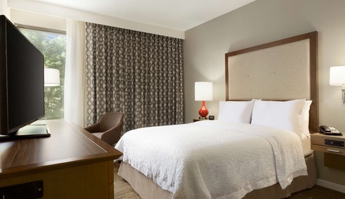 Room, Accessible, Non Smoking (Roll-in Shower)