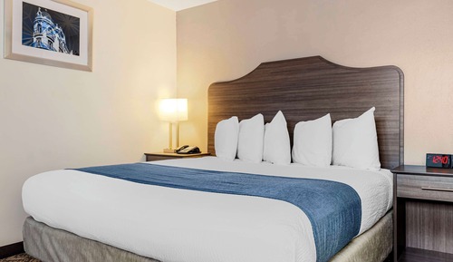 Suite, 1 King Bed with Sofa bed, Non Smoking, Kitchenette (with Sofabed)