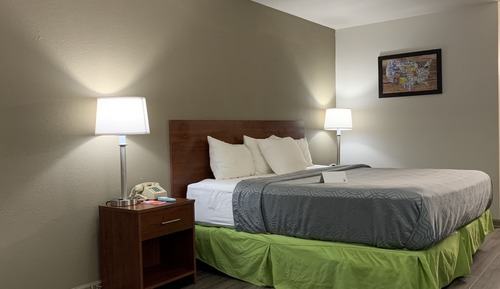 Standard Room, 1 King Bed, Non Smoking