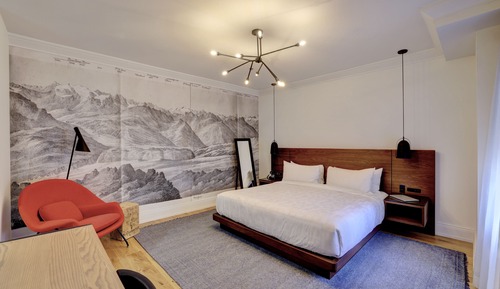 Room, 1 King Bed, Accessible (Shower)