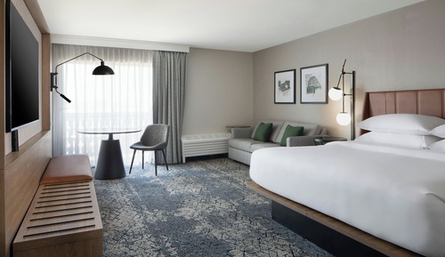 Premium Room, 1 King Bed with Sofa bed (Mobility/Hearing Access, Roll-in Shwr)