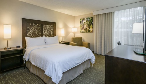 Room, 1 Queen Bed, Non Smoking