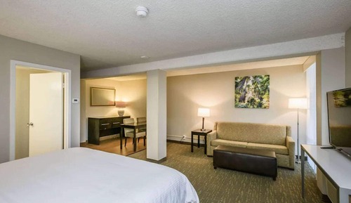 Junior Studio Suite, 1 King Bed, Non Smoking
