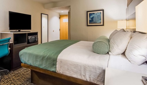 Room, 1 King Bed, Accessible, Non Smoking