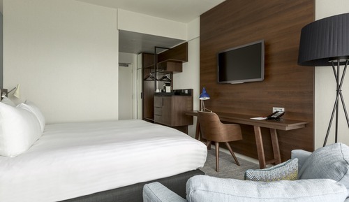 Executive Room, 1 King Bed
