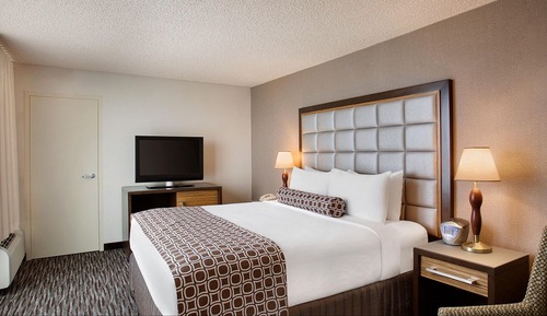 Suite, 1 Bedroom