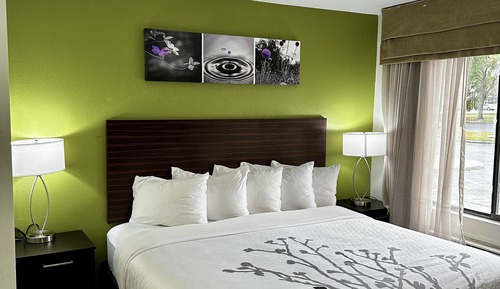 Room, 1 King Bed, Non Smoking