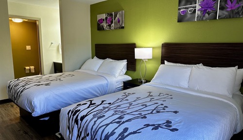 Standard Room, 2 Double Beds, Non Smoking