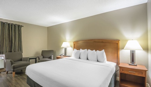 Business Room, 1 King Bed