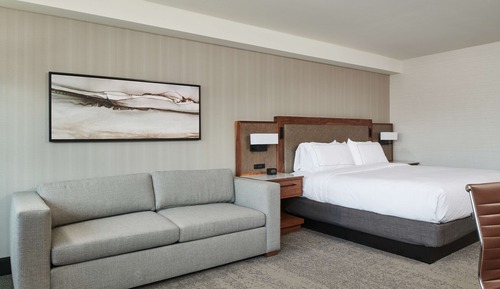 Room, 1 King Bed