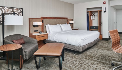 Room, 1 King Bed, Accessible, Bathtub (Mobility & Hearing)