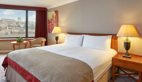 Premium Room, 1 King Bed, River View