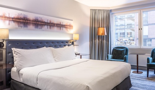 Room, 1 King Bed