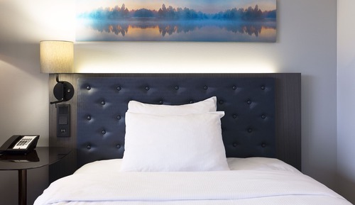 Room, 1 Twin Bed