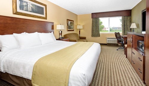 Room, 1 King Bed, Non Smoking (No Pets)