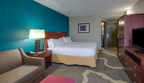 Standard Room, 1 King Bed with Sofa bed