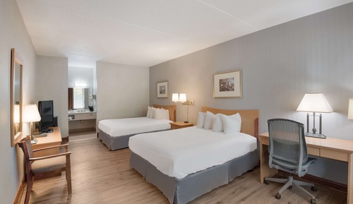 Standard Room, 2 Queen Beds, Non Smoking, Refrigerator & Microwave (Pet Friendly)