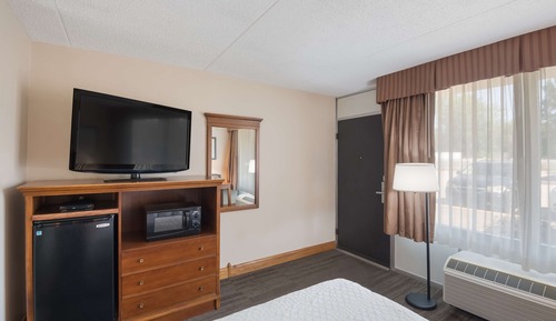 Standard Room, 1 Double Bed, Non Smoking, Refrigerator & Microwave (Pet Friendly)