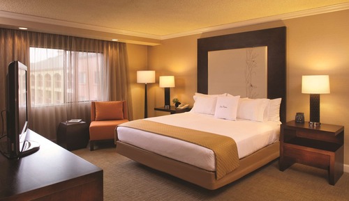 Suite, 1 King Bed