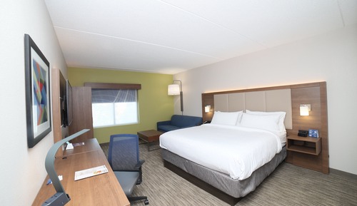 Suite, 1 King Bed with Sofa bed