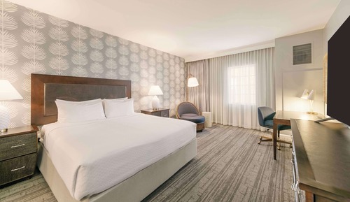 Room, 1 King Bed