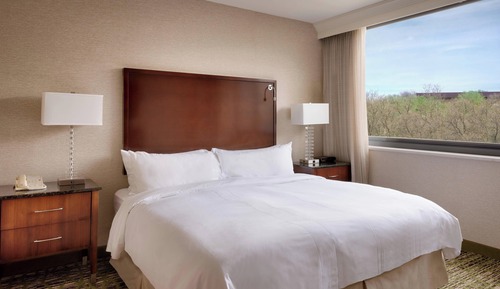 Room, 1 King Bed, Valley View