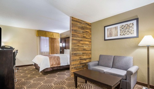 Efficiency, Studio Suite, 1 Queen Bed with Sofa bed, Non Smoking