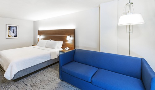 Standard Room, 1 King Bed with Sofa bed
