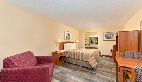 Room, 1 King Bed, Non Smoking (max occupancy 2)