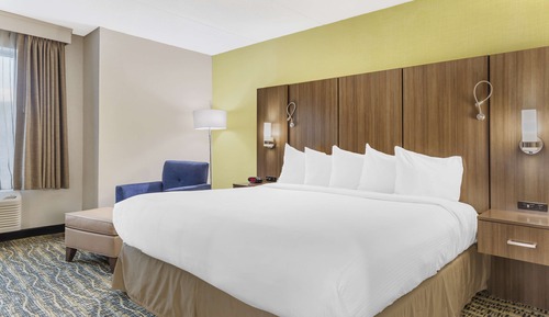 Standard Room, 1 King Bed, Non Smoking, Refrigerator