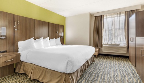 Standard Room, 1 King Bed, Accessible, Non Smoking