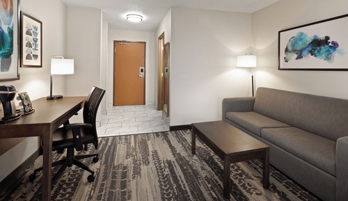 Junior Studio Suite, 1 King Bed, Non Smoking
