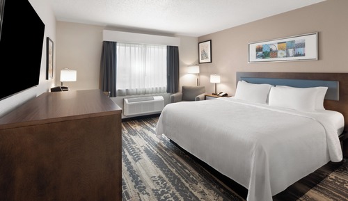 Room, 1 King Bed, Non Smoking