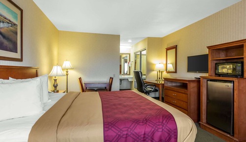 Room, 1 King Bed, Non Smoking
