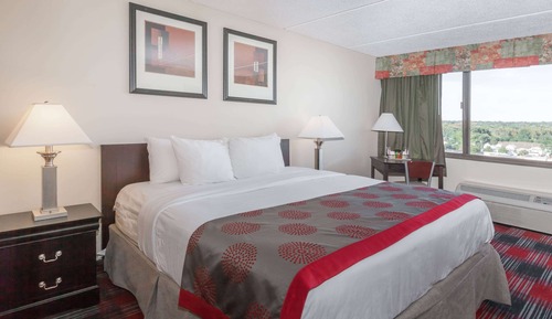 Room, 1 King Bed, Non Smoking