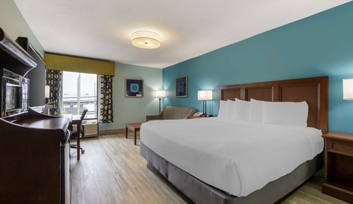 Standard Room, 1 King Bed, Non Smoking, Refrigerator & Microwave (with Sofabed)