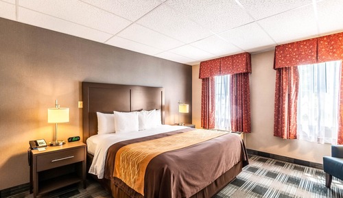 Suite, 1 King Bed with Sofa bed, Non Smoking (Upgrade)