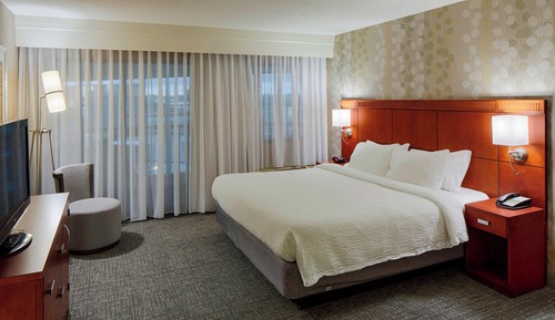 Room, 1 King Bed with Sofa bed
