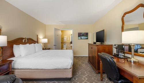 Standard Room, 1 King Bed, Smoking, Refrigerator & Microwave