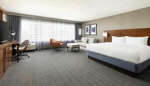 Deluxe Room, 1 King Bed with Sofa bed (Mobility Accessible, Roll-In Shower)