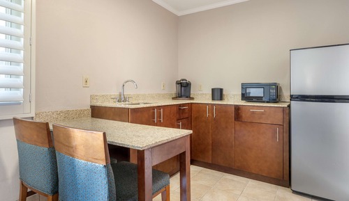 Suite, 1 King Bed, Non Smoking, Kitchen (with Sofabed)