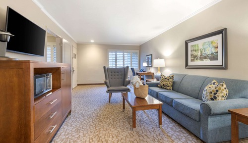 Suite, 1 King Bed, Accessible, Non Smoking (Walk-in Shower;with Sofabed)