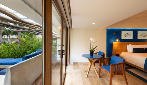 Premium Room, 1 King Bed, Pool Access