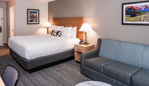 Standard Room, 1 King Bed with Sofa bed, Non Smoking, Refrigerator (with Sofabed)