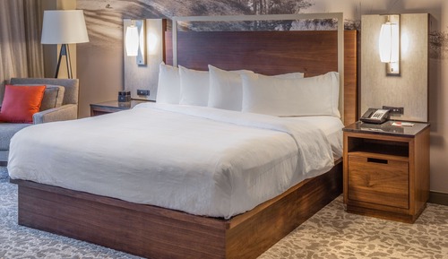 Room, 1 King Bed (Hearing Accessible)