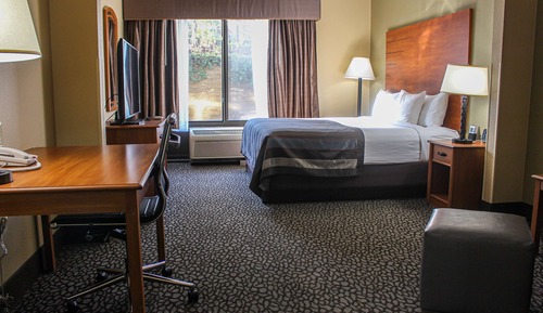 Standard Room, 1 King Bed