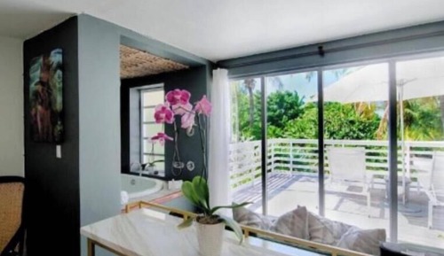 Jungles Suite